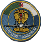12th Air Wing - Aggressor